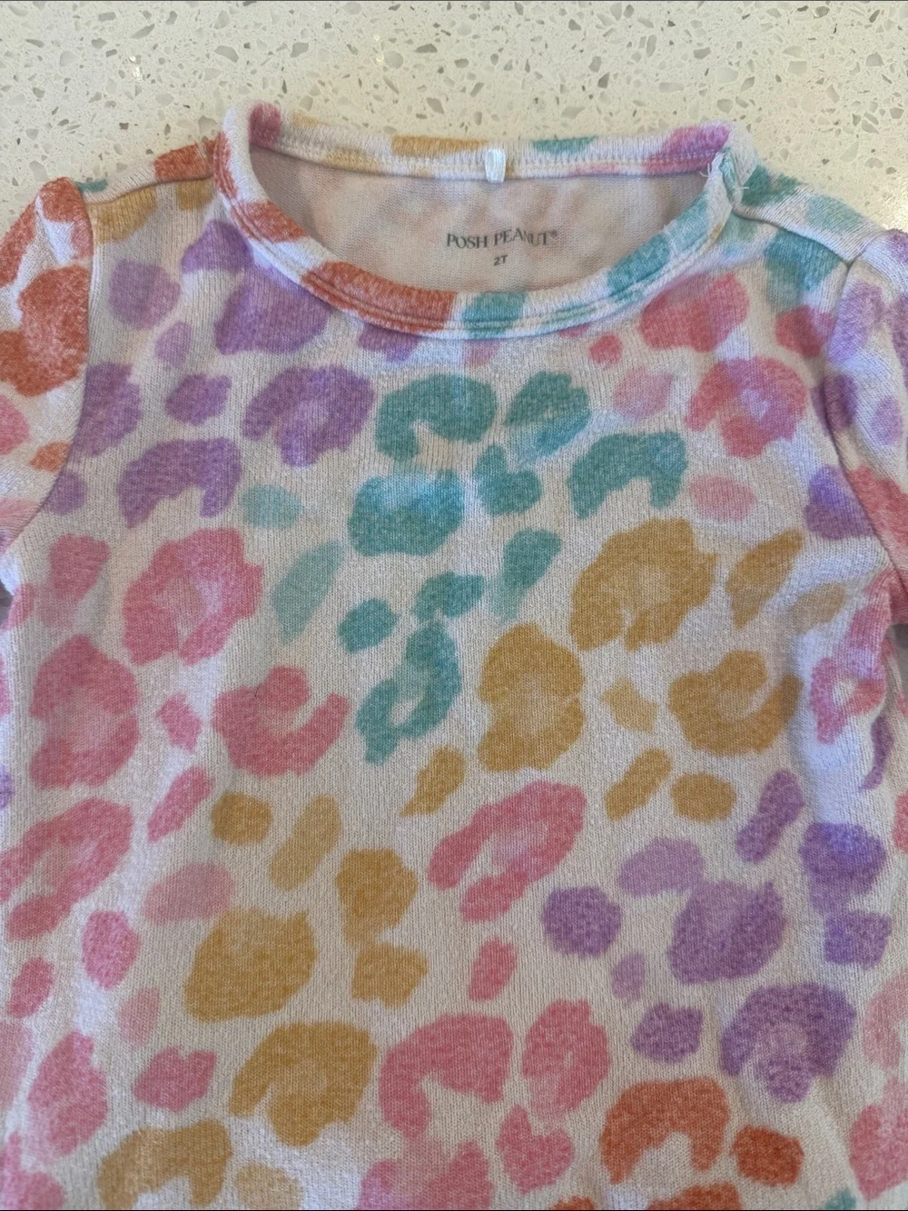 Posh Peanut 2T Leopard Print Pajama Set - Multicolor